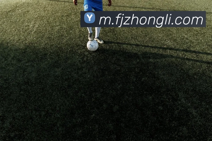 奖项证书